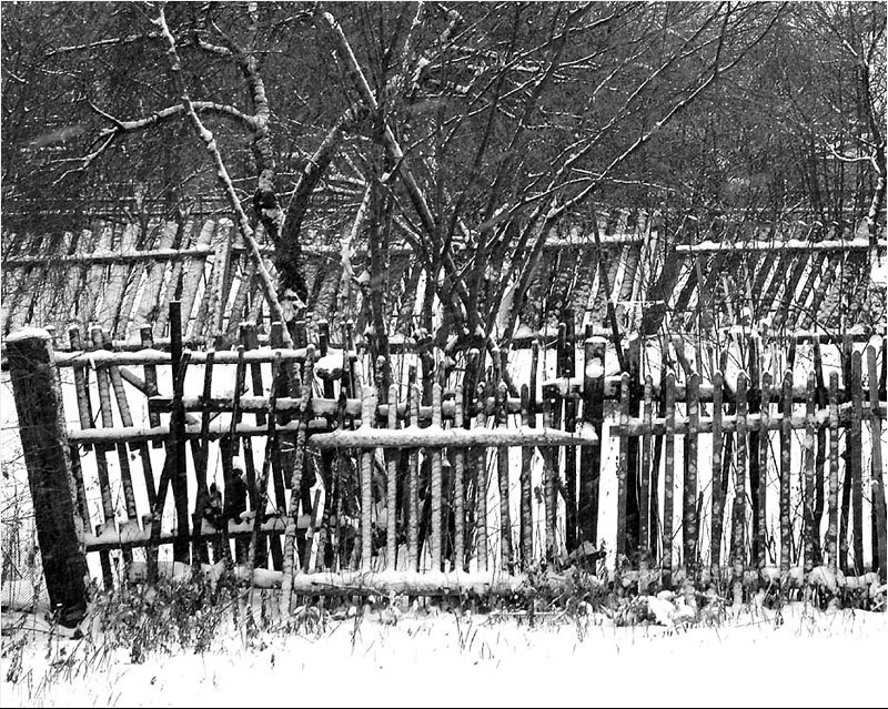 Энтропия