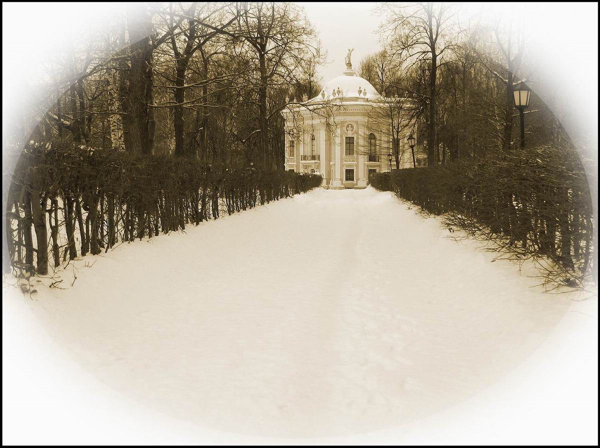 Зима, аллея, Эрмитаж