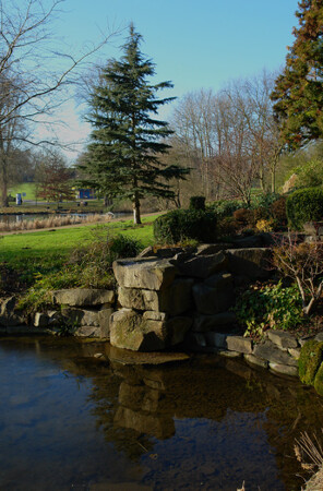 Уголок парка