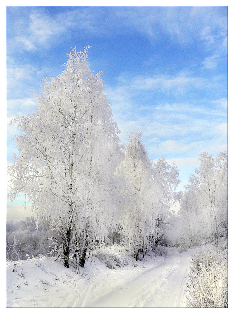 Winter Road