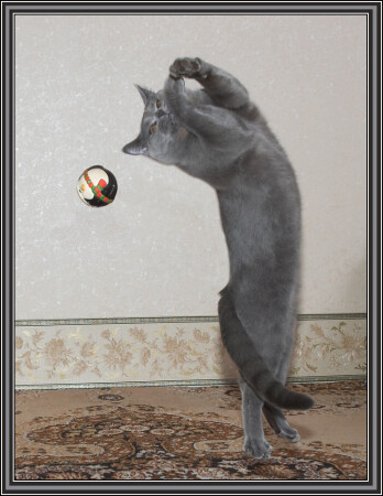 Танцы с мячом.