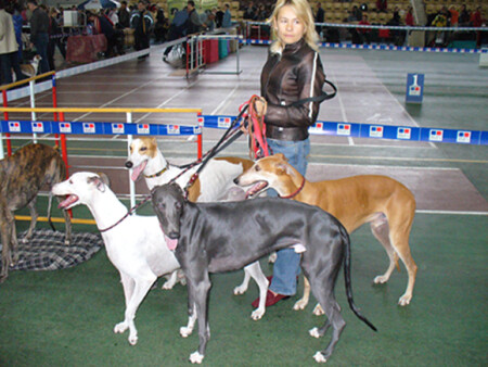 Все масти в гости к нам :)