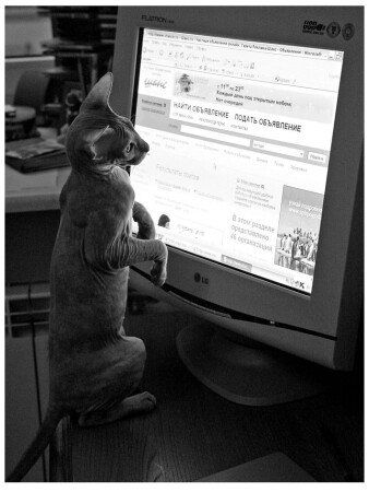 Подам-ка объявление!