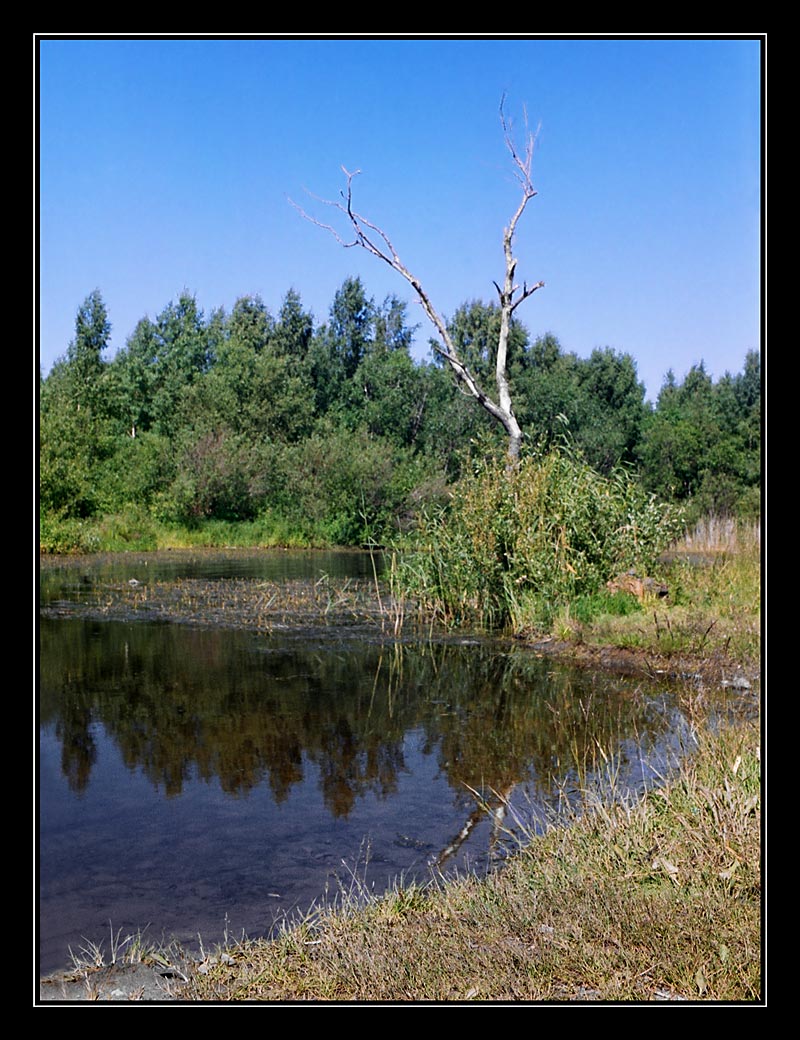 Полдень.