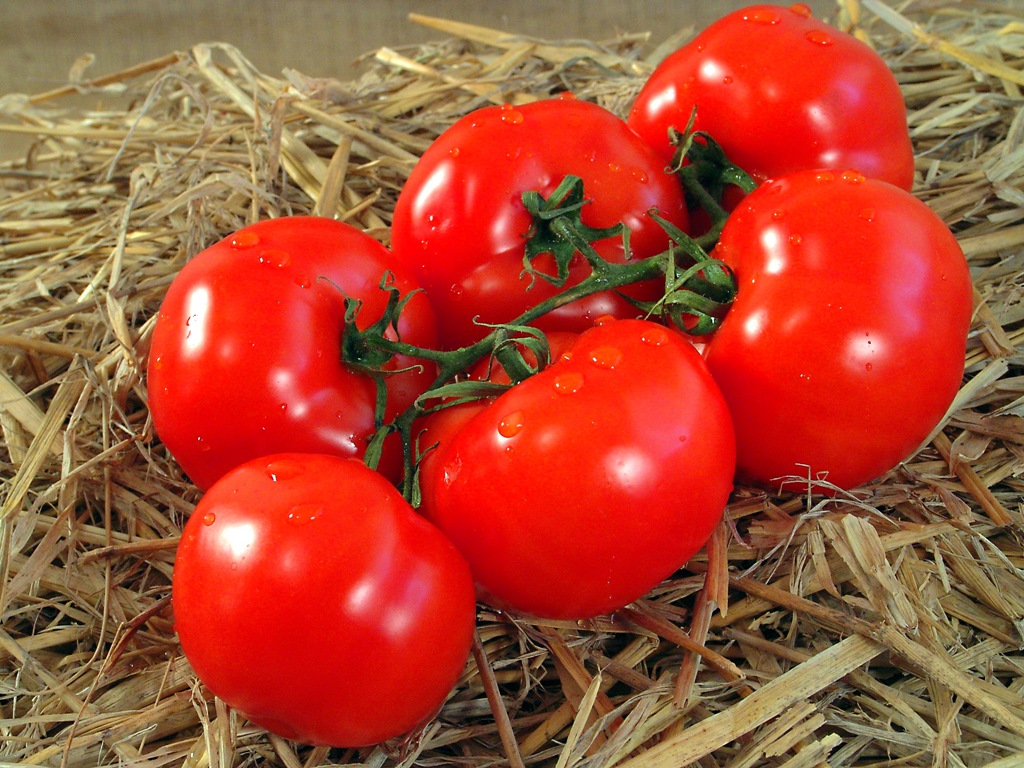 Just tomatos