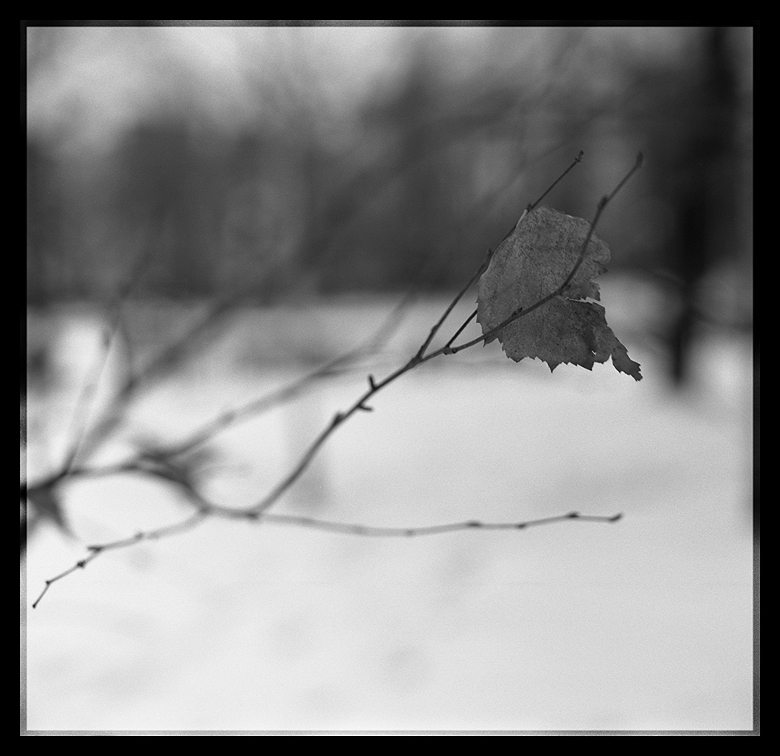 - MINIMAL -
