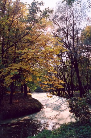 Луч солнца золотого
