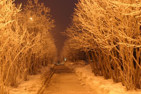 Заполярная жизнь-3