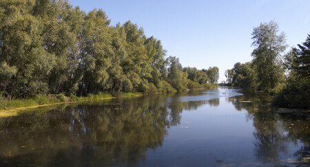 Тихая протока