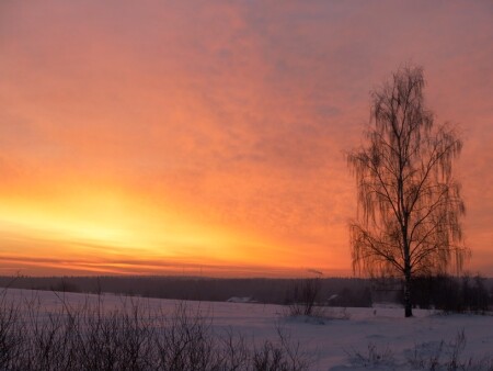 Зимняя сказка