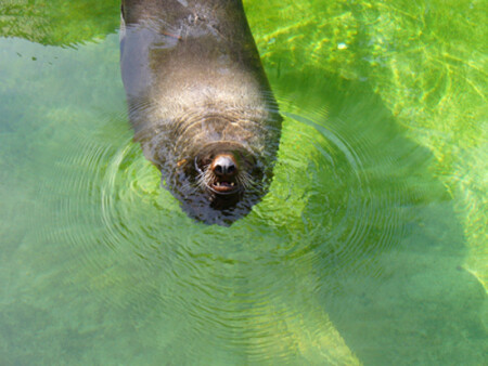 С добрым утром