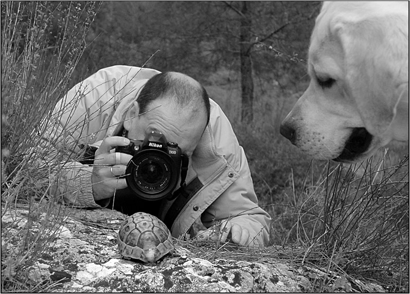 фота на троих