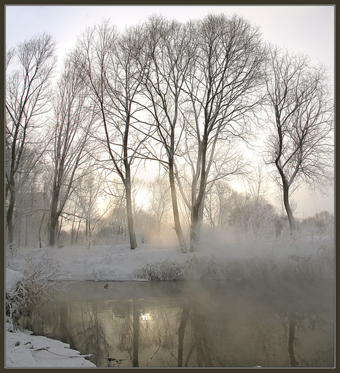 Snowtheme 1