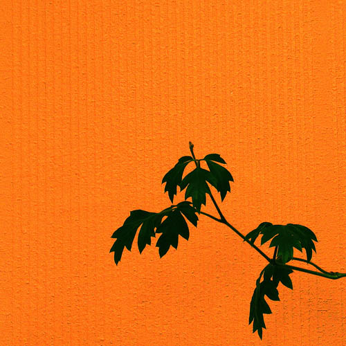 minimal a