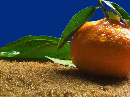 Сезон мандаринов