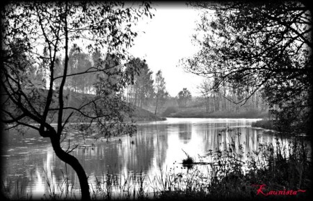 Отражение мыслей ...художника (оригинал в ч/б варианте)