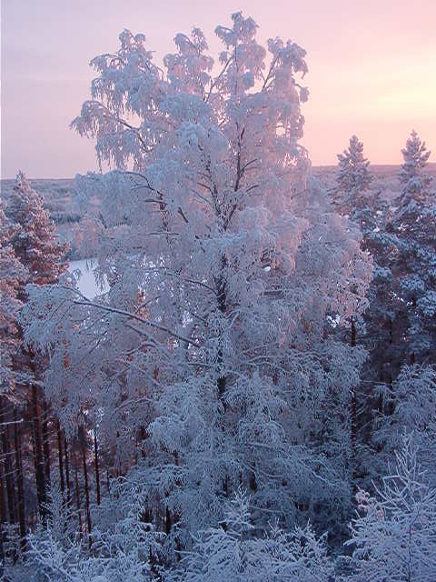 Зима в Кенозёрье