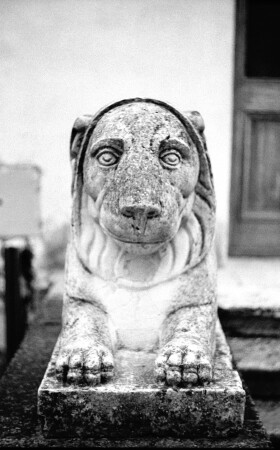 Глаза в глаза