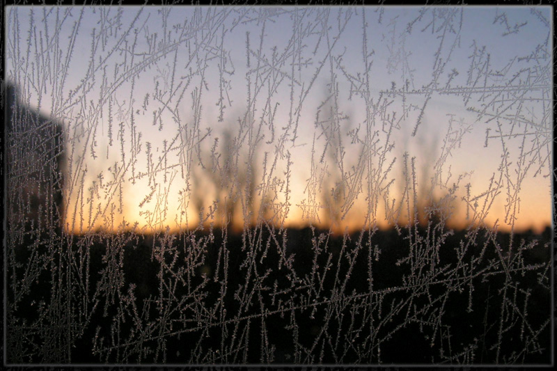 Lines of the fate