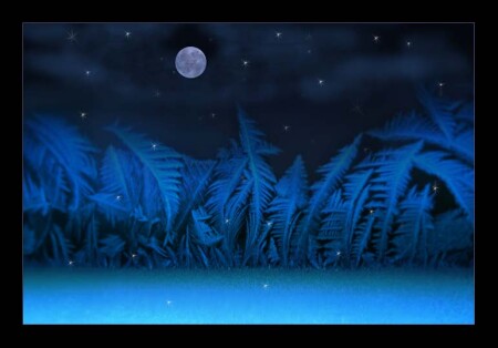 Морозные заросли