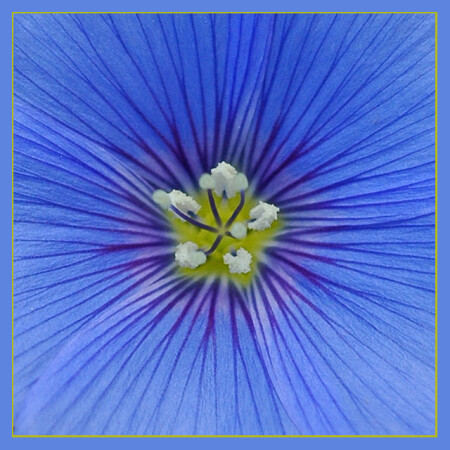 Attracting miracle...