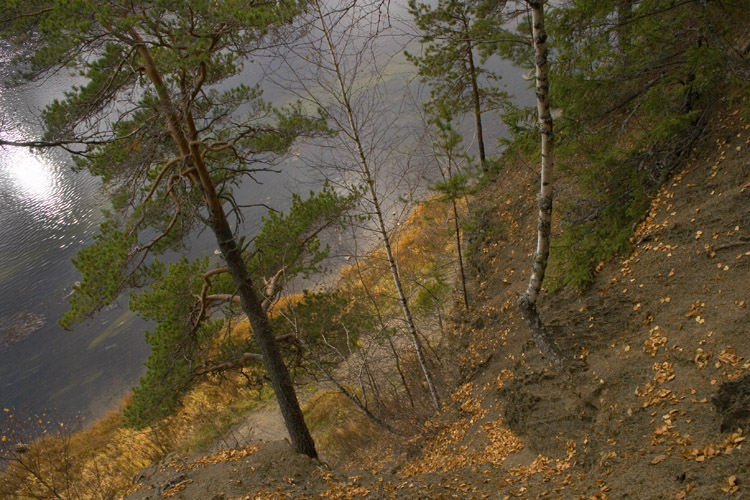 Осень над рекой