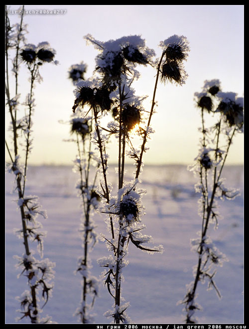 kirzhach2006a0217