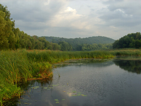 Предгрозовая.