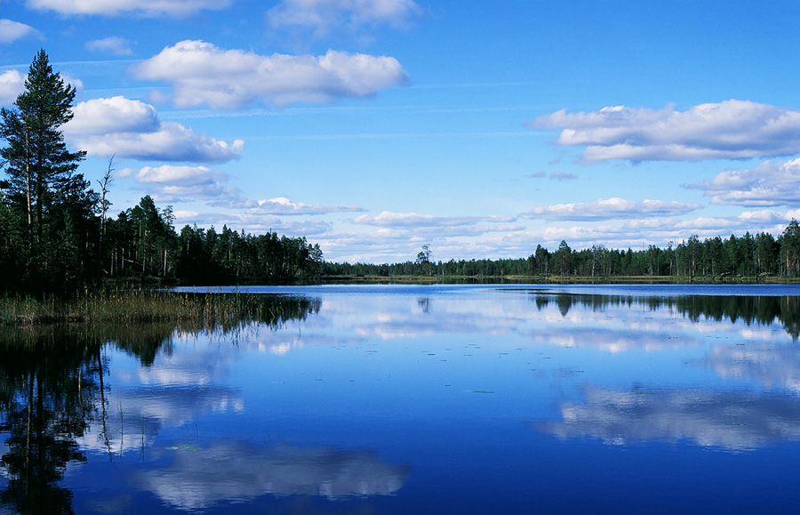 Синь бескрайняя