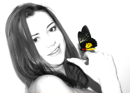 butterfly