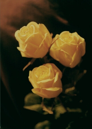 в стиле ретро