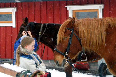 Whispering horses (Понимание)