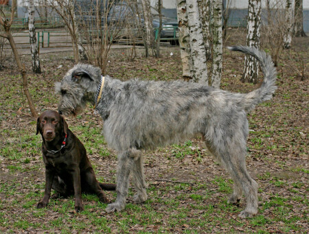 Позвольте с вами познакомиться...
