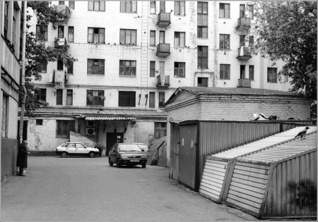 Ворона москвичка