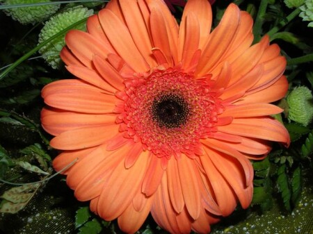 Настроение