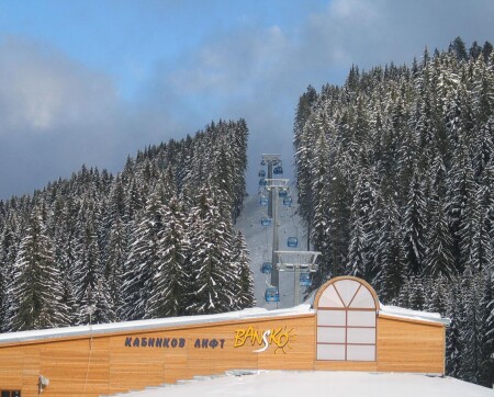 Прорезь в лесу