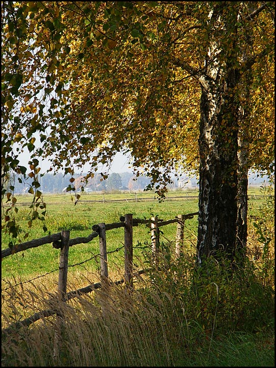 Осень у околицы