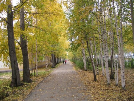 Без названия 5