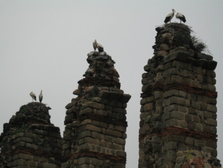 Кому-бы еще помочь?