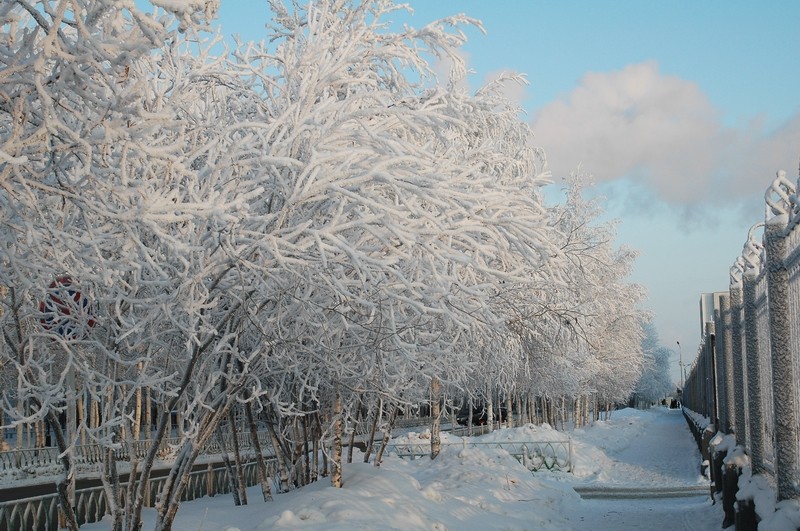городские зарисовки(зима1)