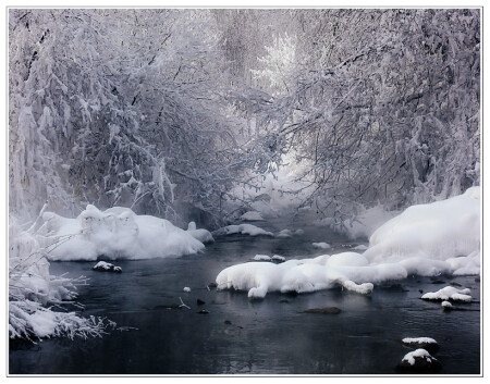 Winter Stream