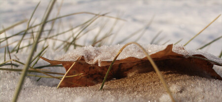 Осколки лета