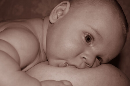 в чем смысл жизни...?