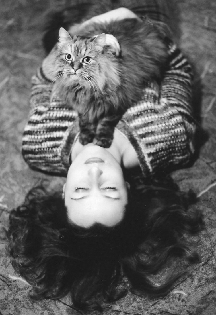 CATS