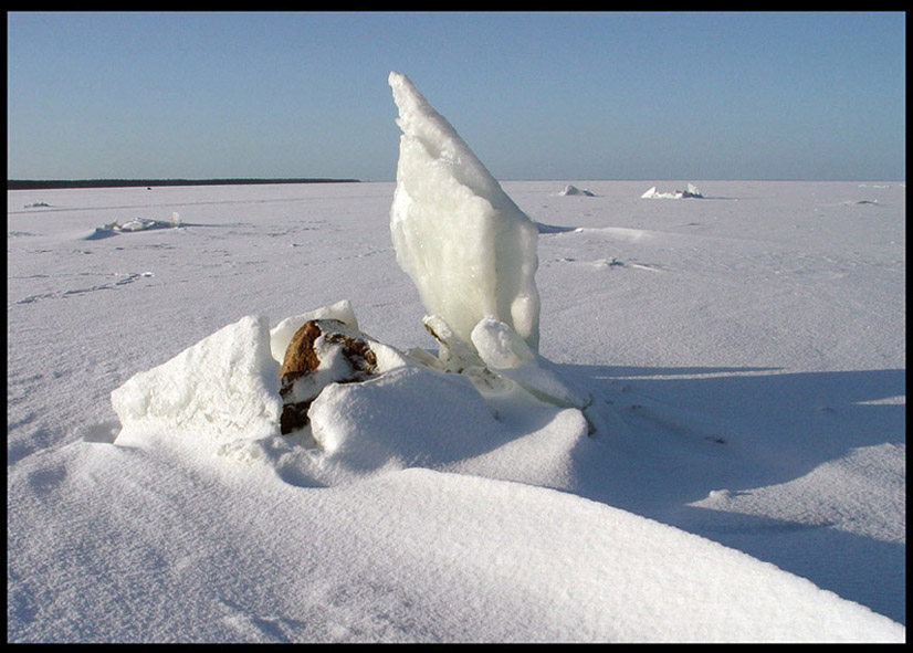 Солдат зимы.