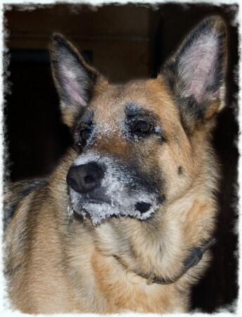 А зима скоро кончится?...