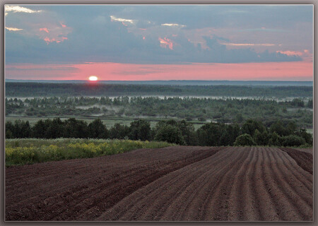 Русская народная забава(посадка картошки).