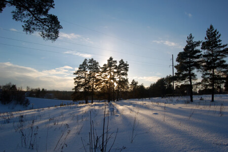 Зимняя улыбка