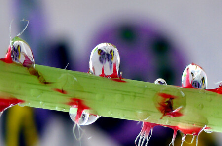 Мечты о лете