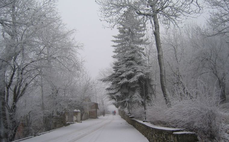 Прогулка в пасмурный день.